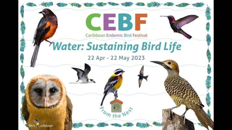 Gavin Migratory Bird Research Grant applications due by Dec. 12